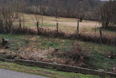 Teren de 3140 mp, în Petriș - 1