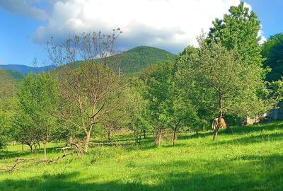 Spațiu comercial, în Central - 2