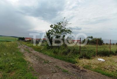 Teren de vanzare 10000 mp CF 107274 deschidere de 42 m in Sura Mica - 4