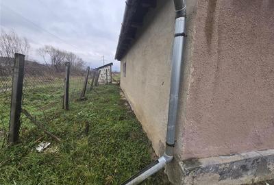 Casă cu 2 camere cu Teren 2685 Mp în Tăuteu - 17