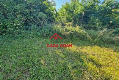 Casa in Poiana Campina--29.900e - 6