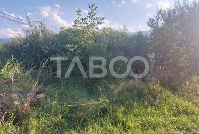 Teren pretabil  pentru cabana sau gradina 352 mp zona deosebita Tocile - 5