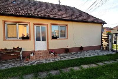Vand casa cu gradina - 3
