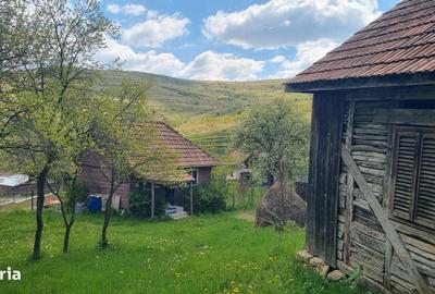 Casă în Șutu - 3