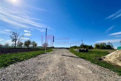 Hala industriala noua 528 mp | utilitati | zona Vest Sibiu - 8