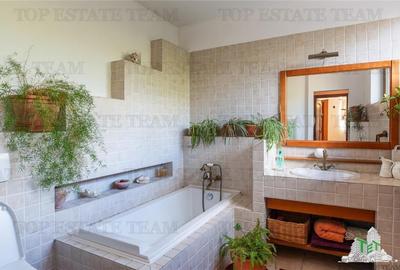 Vila EXCELENTA de vanzare Drumul Taberei - 9
