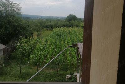Casă cu 5 camere cu Teren 1400 Mp în Stâlpeni - 2