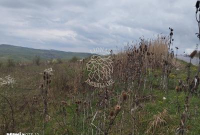 Teren de 2100 mp, în Șieu - 2