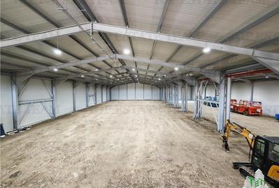 Hala Industriala Balotesti - Spatiu Generos si Accesibilitate Excelenta - 4