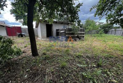 Casă cu 2 camere cu Canalizare în Miron Costin - 12