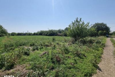 Spațiu comercial, în Boteni - 2