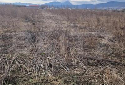 Teren de 1500 mp, în Central