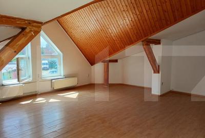 Spatiu comerical, de inchiriat, 375 mp, zona Casa indiv - 1