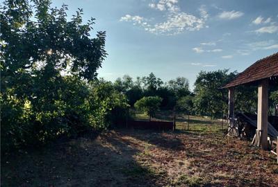 RECO, Casa la 16 km de Oradea, Sabolciu, Bihor - 3