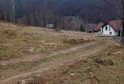Teren de 10000 mp, în Lepșa - 3
