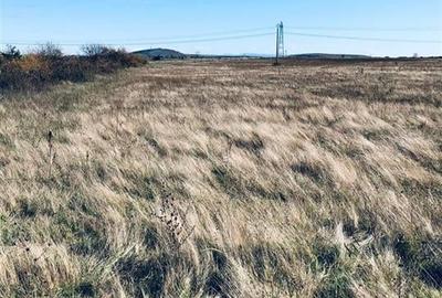 RECO Teren intravilan Cihei - 2