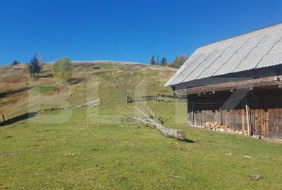 Super Oferta 5.2 euro/mp. Teren de vanzare in zona Arieseni - 9