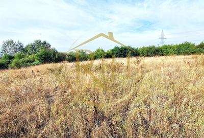 Teren agricol extravilan de 11273 mp, în Plopi - 2