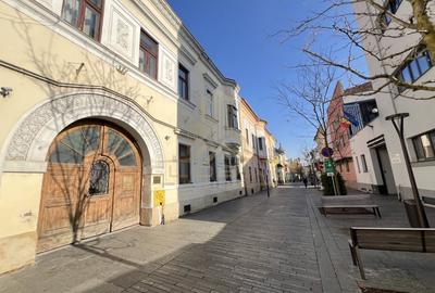 Apartament cu 2 camere semidecomandat, mobilat în Central - 13