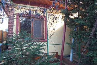 Casă individuală cu 4 camere cu Canalizare în Brâncoveanu - 10