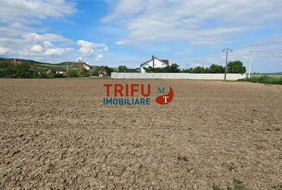 Teren de 2000 mp, în Ighiu - 4