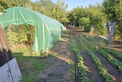 Casă cu 3 camere cu Teren 200 Mp în Chitila