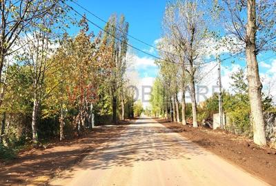 Teren intravilan de 800 mp, în Izvorani - 3