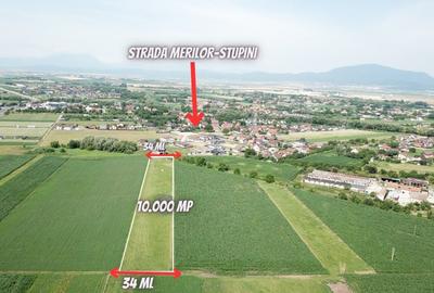 Investiție de Top: Teren Intravilan  Stupini- Randament Garantat ! - 4