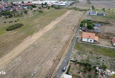 Spațiu comercial, în Moșnița Nouă