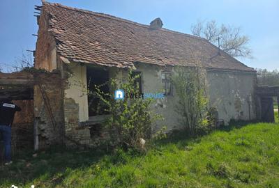 Teren de 3890 mp, în Șoarș - 2