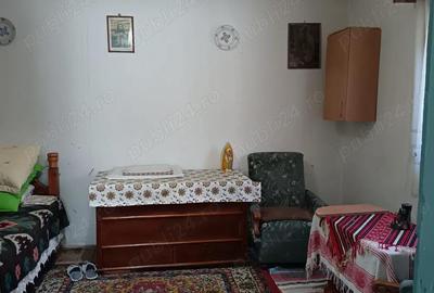 Casă cu 3 camere în Muntele Băișorii - 2