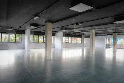 Birou ultramodern, 123 mp, prima inchiriere, zona Traian Vuia - 6