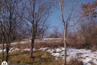 Teren de 2950 mp, în Remetea Chioarului - 1