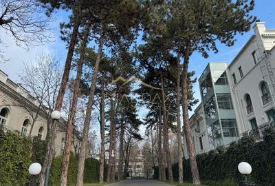 Spațiu Comercial de Lux - Kiseleff *376mp Spațiu Comercial de Lux - Kiseleff *376mp - 15