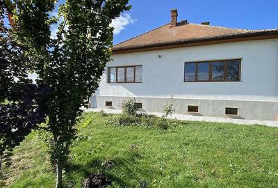 Domeniu de 9000 mp - Ideal pentru Dezvoltare Imobiliara sau Business de Lux! - 3