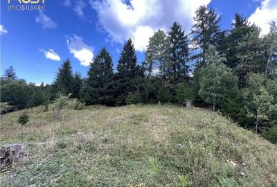 Teren  intravilan Colibita 2300 mp panoramic - 2