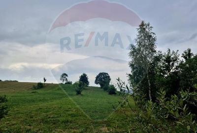 Teren extravilan 8,439mp Sinca Noua / Ideal cabana weekend/rulota