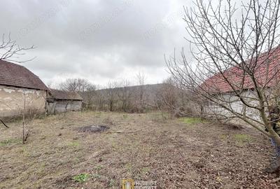 Teren de 3252 mp, în Tauț - 4