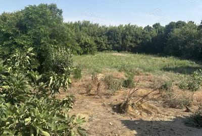 Casă cu 3 camere cu Teren 4000 Mp în Central - 2