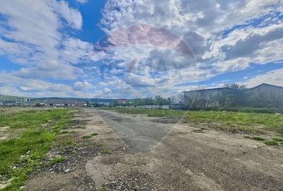 Teren Construcții intravilan de 36812 mp, în Nord - 6