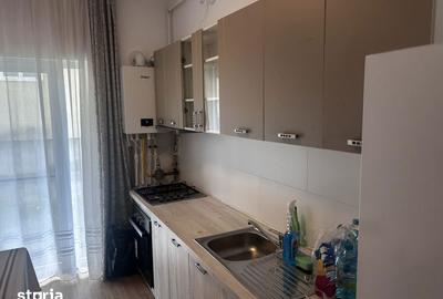 Apartament cu 2 camere în Viișoara - 2