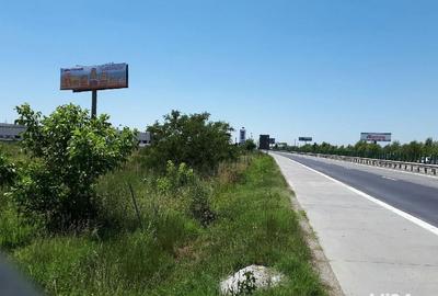 Teren de 5000 mp, în Manolache - 4