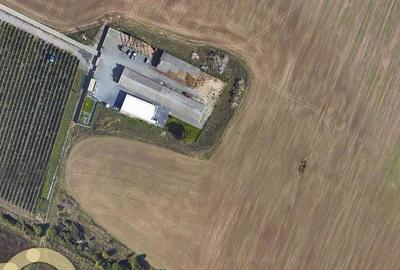 Teren Construcții intravilan de 9450 mp, în Aradul Nou - 1