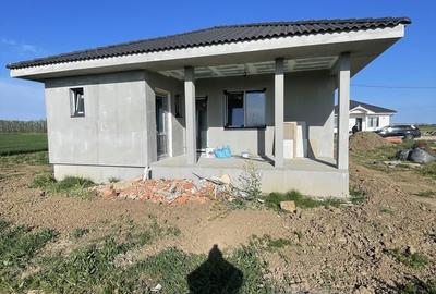 Casă cu 3 camere în Borș - 1