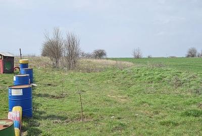 Teren agricol extravilan de 7000 mp, în Afumați - 6