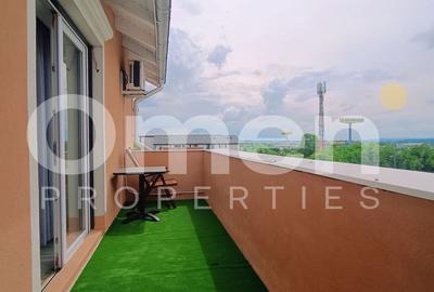 Apartament cu 2 camere semidecomandat, mobilat în Valea Borcutului - 11
