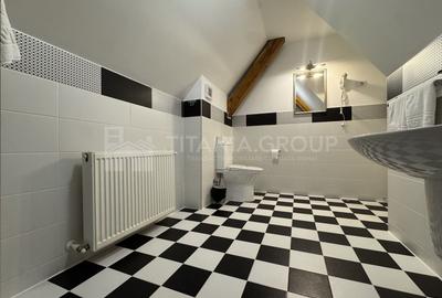 Apartament cu 3 camere decomandat, mobilat în Drumul Poienii - 13