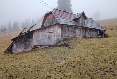 Teren intravilan 26232m.p.  Dorna-Arini / Cozanesti - 6