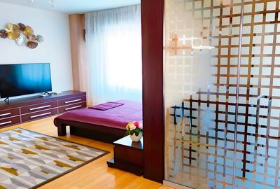 Garsonieră decomandată, mobilată în Unirii - 6