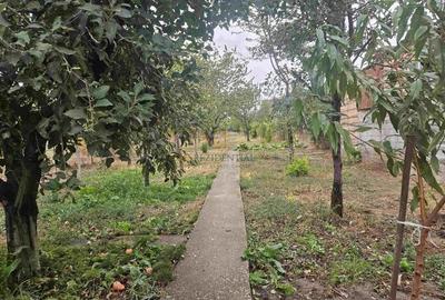 Casa indviduala cu 4 camere si teren generos - Jilava, Str. Garii - 10